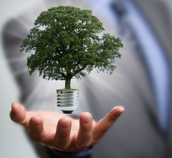 The Key to a Bright Future for Sustainability